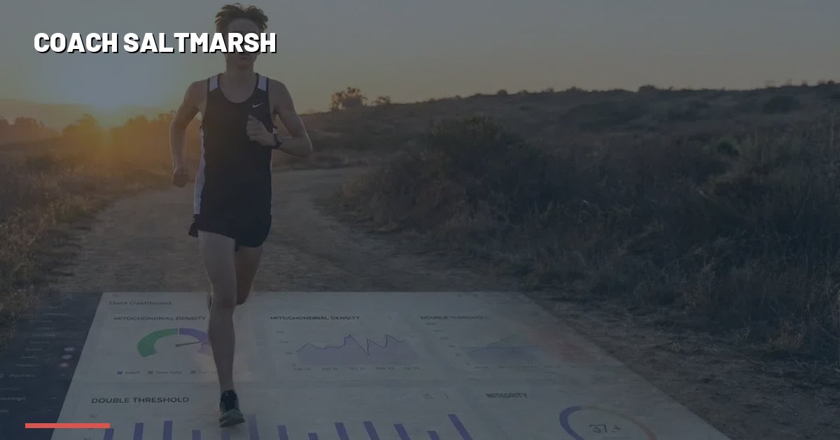 High school cross country runners racing — The 3 Essential Workouts Every XC Runner Needs