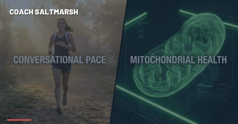 High school cross country runners racing — Zone 2 Training for High School Runners