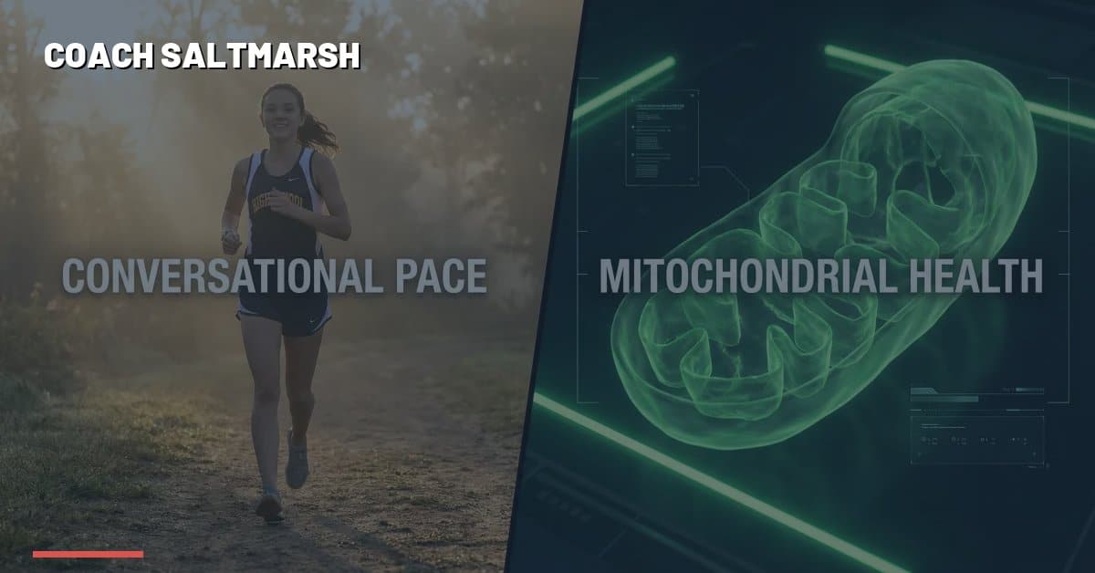 High school cross country runners racing — Zone 2 Training for High School Runners