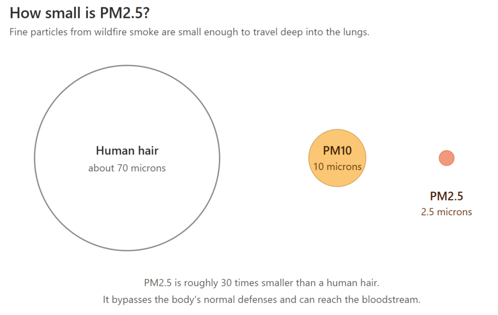 Running in Wildfire Smoke: A Cross Country Training Guide Diagram comparing PM2.5 particle size to a human hair, showing fine particles are about 30 times smaller